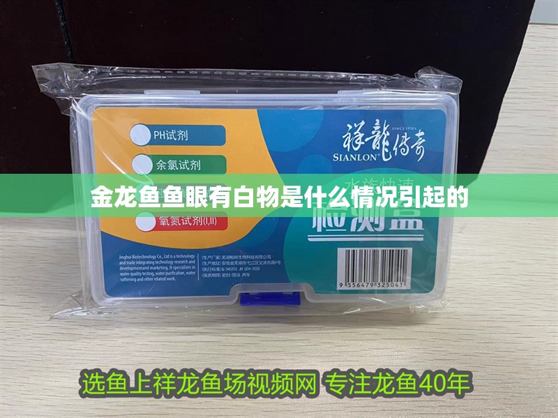 金龍魚魚眼有白物是什么情況引起的