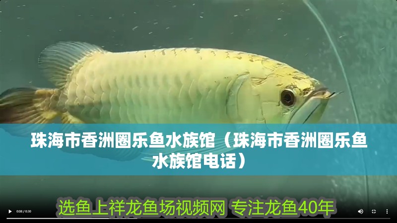 珠海市香洲圈樂魚水族館（珠海市香洲圈樂魚水族館電話） 珠海市香洲圈樂魚水族館（珠海市香洲圈樂魚水族館電話） 全國水族館企業名錄 第2張