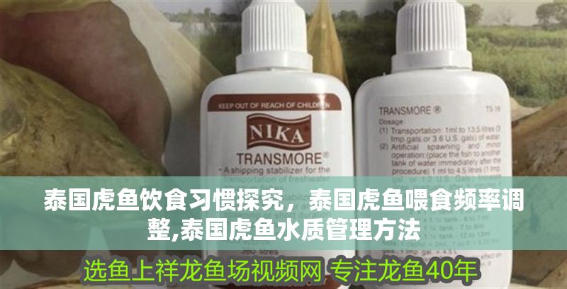 泰國虎魚飲食習(xí)慣探究,泰國虎魚喂食頻率調(diào)整,泰國虎魚水質(zhì)管理方法 虎魚百科 第1張 泰國虎魚飲食習(xí)慣探究,泰國虎魚喂食頻率調(diào)整,泰國虎魚水質(zhì)管理方法 泰國虎魚飲食習(xí)慣探究,泰國虎魚喂食頻率調(diào)整,泰國虎魚水質(zhì)管理方法 虎魚百科 第1張