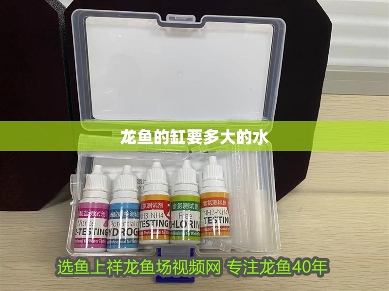 龍魚(yú)的缸要多大的水