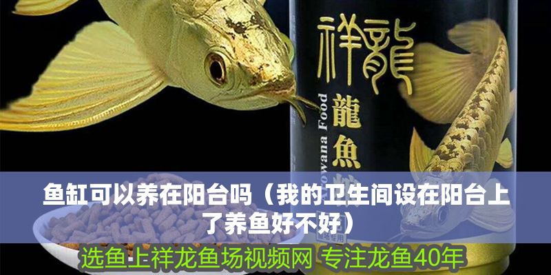 魚缸可以養(yǎng)在陽(yáng)臺(tái)嗎（我的衛(wèi)生間設(shè)在陽(yáng)臺(tái)上了養(yǎng)魚好不好）