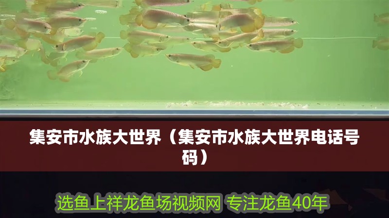 集安市水族大世界（集安市水族大世界電話號碼）