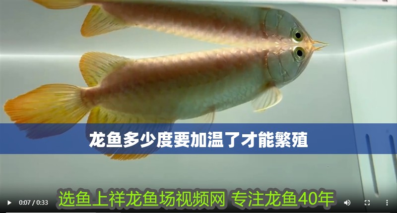 龍魚多少度要加溫了才能繁殖