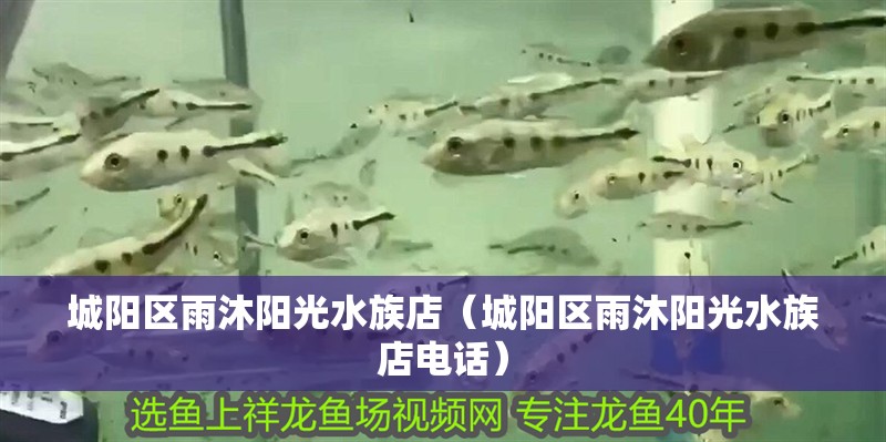 城陽區雨沐陽光水族店（城陽區雨沐陽光水族店電話） 城陽區雨沐陽光水族店（城陽區雨沐陽光水族店電話） 全國水族館企業名錄 第2張