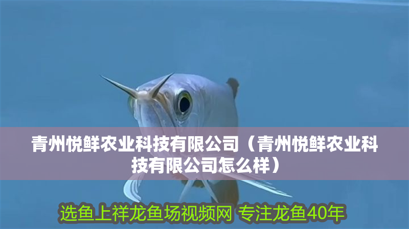 青州悅鮮農業科技有限公司（青州悅鮮農業科技有限公司怎么樣） 青州悅鮮農業科技有限公司（青州悅鮮農業科技有限公司怎么樣） 全國水族館企業名錄 第2張