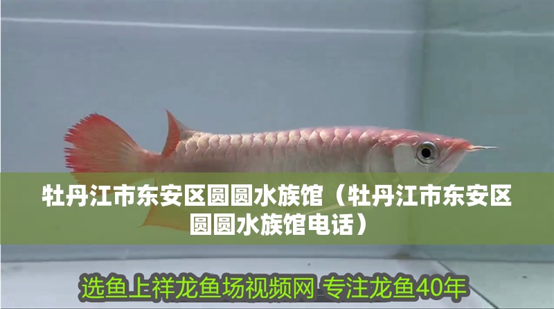 牡丹江市東安區(qū)圓圓水族館（牡丹江市東安區(qū)圓圓水族館電話）