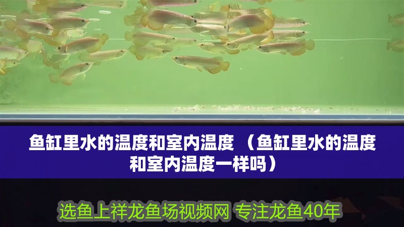 魚缸里水的溫度和室內溫度 （魚缸里水的溫度和室內溫度一樣嗎）