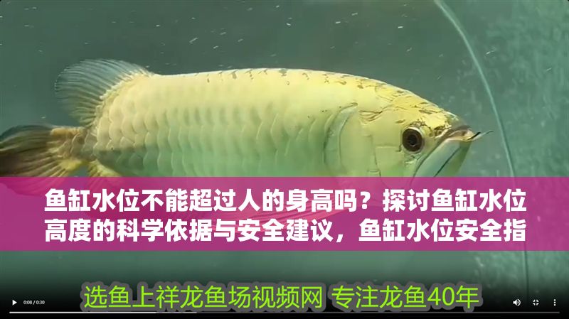 魚缸水位不能超過人的身高嗎？探討魚缸水位高度的科學(xué)依據(jù)與安全建議，魚缸水位安全指南，科學(xué)依據(jù)與最佳高度建議