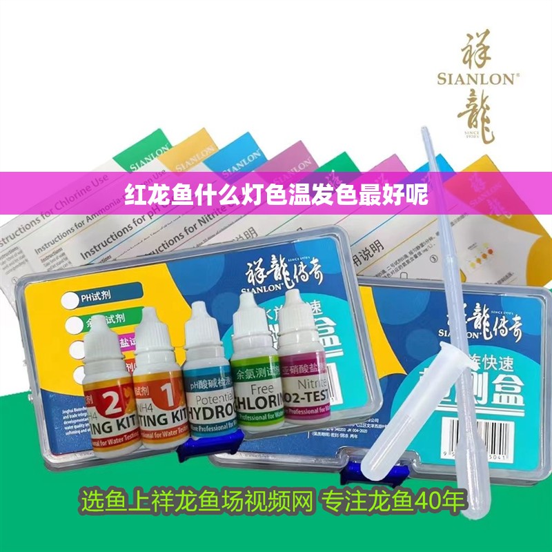 紅龍魚什么燈色溫發色最好呢 紅龍魚什么燈色溫發色最好呢 龍魚百科 第2張