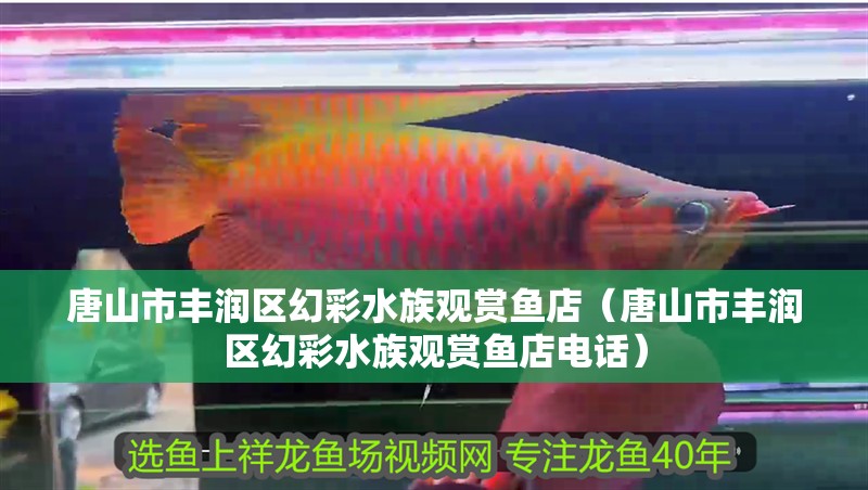 唐山市豐潤區幻彩水族觀賞魚店（唐山市豐潤區幻彩水族觀賞魚店電話）