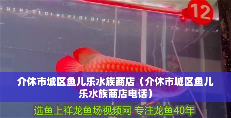 介休市城區魚兒樂水族商店（介休市城區魚兒樂水族商店電話）