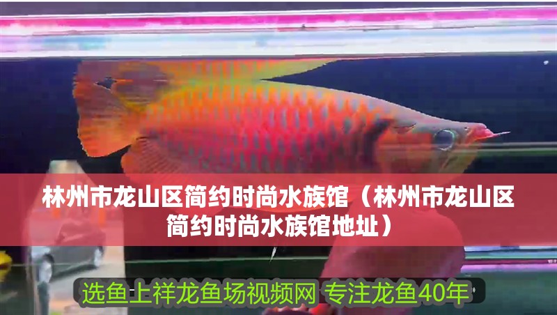 林州市龍山區簡約時尚水族館(林州市龍山區簡約時尚水族館地址) 全國水族館企業名錄 第2張 林州市龍山區簡約時尚水族館(林州市龍山區簡約時尚水族館地址) 林州市龍山區簡約時尚水族館(林州市龍山區簡約時尚水族館地址) 全國水族館企業名錄 第2張