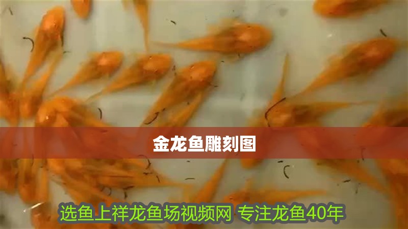 金龍魚(yú)雕刻圖