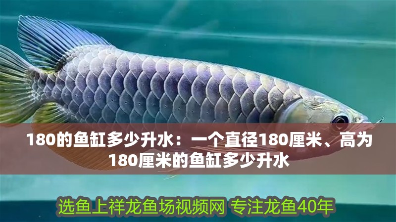 180的魚缸多少升水：一個(gè)直徑180厘米、高為180厘米的魚缸多少升水