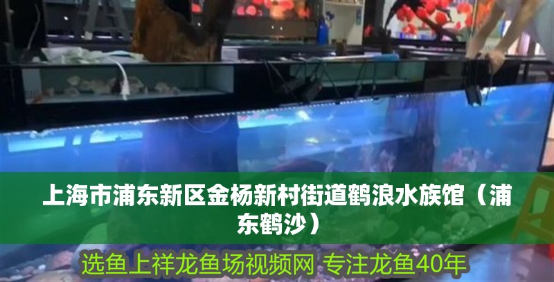 上海市浦東新區金楊新村街道鶴浪水族館（浦東鶴沙）