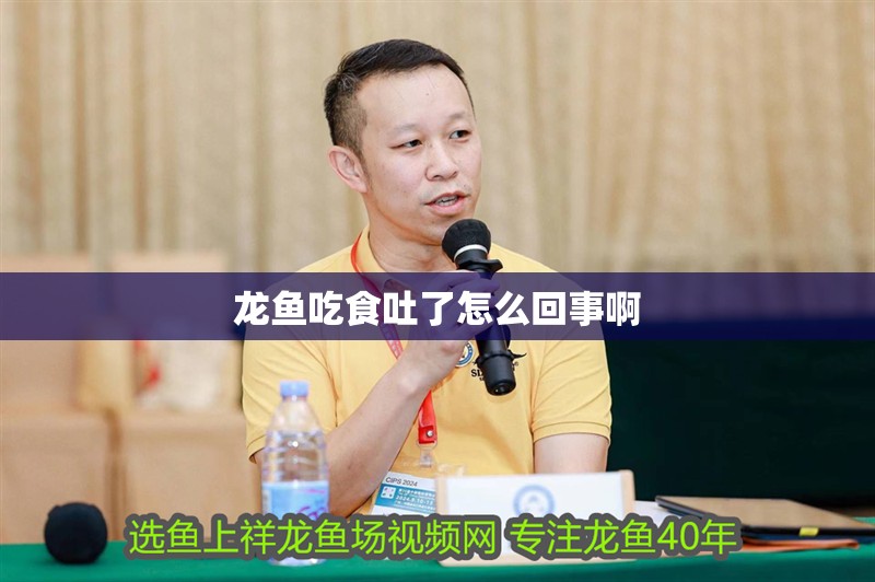 龍魚吃食吐了怎么回事啊 龍魚吃食吐了怎么回事啊 龍魚百科 第2張