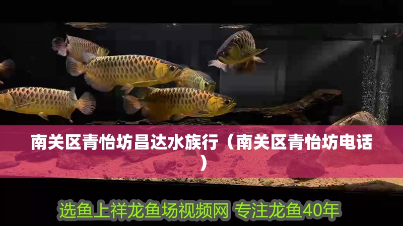 南關(guān)區(qū)青怡坊昌達(dá)水族行（南關(guān)區(qū)青怡坊電話）