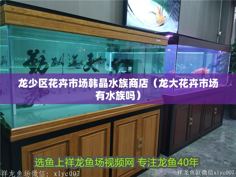 龍少區花卉市場韓晶水族商店（龍大花卉市場有水族嗎）