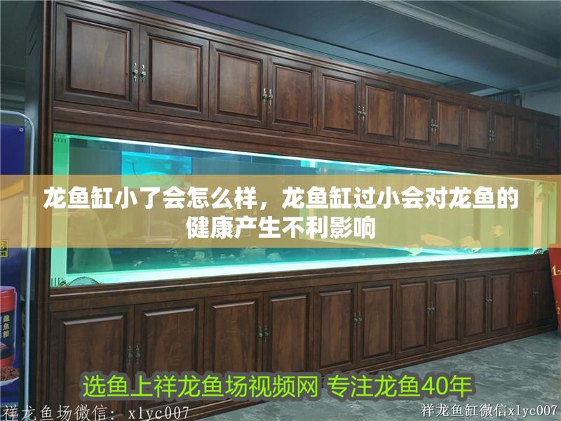 龍魚缸小了會怎么樣，龍魚缸過小會對龍魚的健康產生不利影響