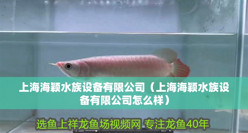 上海海穎水族設備有限公司（上海海穎水族設備有限公司怎么樣）