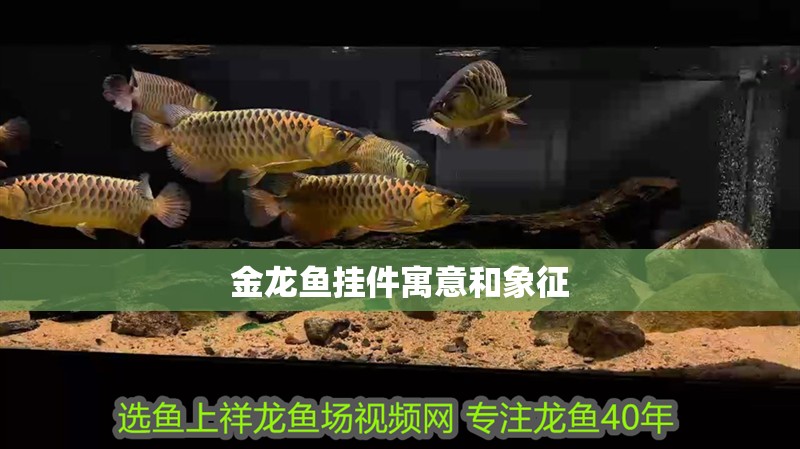 金龍魚掛件寓意和象征