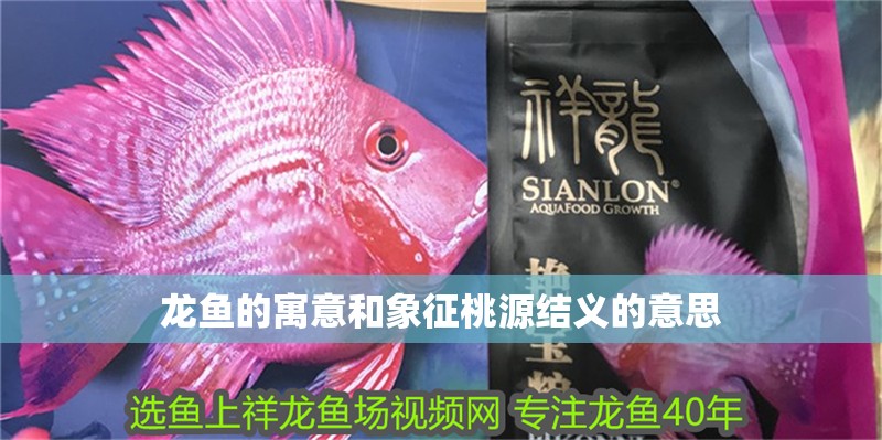 龍魚的寓意和象征桃源結義的意思 龍魚百科 第2張 龍魚的寓意和象征桃源結義的意思 龍魚的寓意和象征桃源結義的意思 龍魚百科 第2張