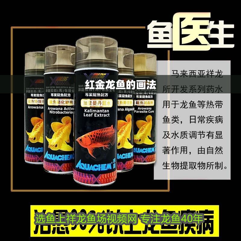 紅金龍魚的畫法
