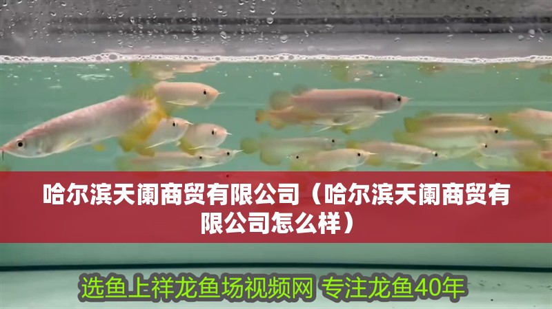 哈爾濱天闌商貿(mào)有限公司（哈爾濱天闌商貿(mào)有限公司怎么樣）