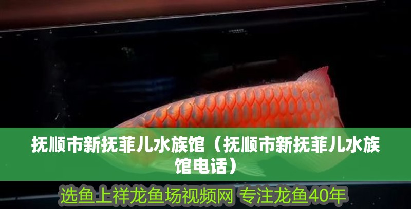 撫順市新撫菲兒水族館（撫順市新撫菲兒水族館電話）