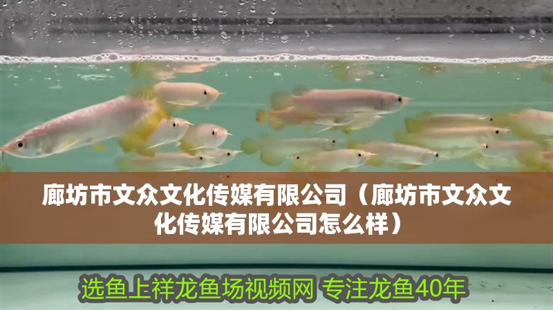 廊坊市文眾文化傳媒有限公司（廊坊市文眾文化傳媒有限公司怎么樣）