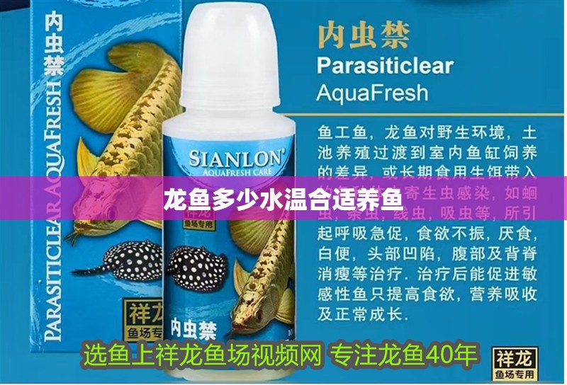 龍魚多少水溫合適養(yǎng)魚