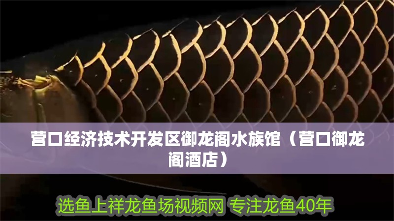 營口經濟技術開發區御龍閣水族館（營口御龍閣酒店）