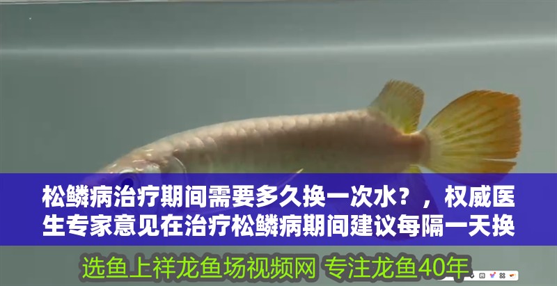 松鱗病治療期間需要多久換一次水？，權(quán)威醫(yī)生專家意見在治療松鱗病期間建議每隔一天換一次水