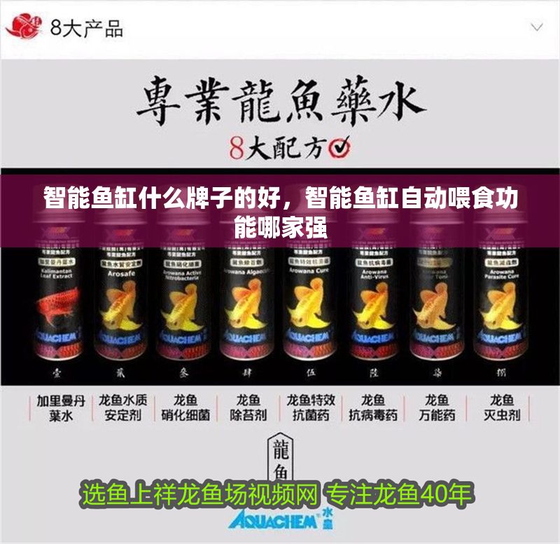 智能魚缸什么牌子的好，智能魚缸自動喂食功能哪家強