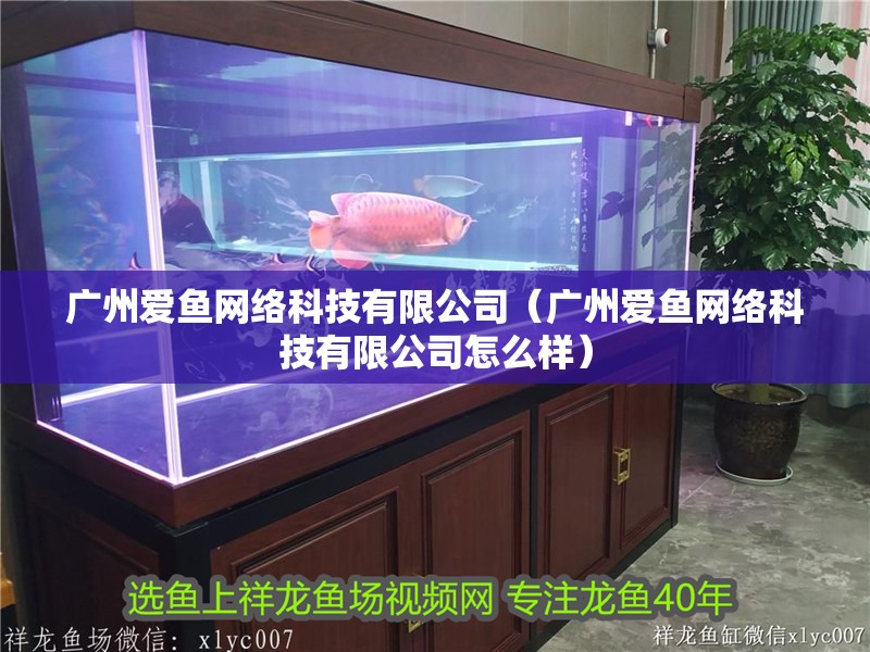 廣州愛魚網絡科技有限公司（廣州愛魚網絡科技有限公司怎么樣）
