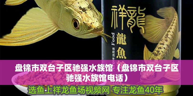 盤錦市雙臺(tái)子區(qū)馳強(qiáng)水族館（盤錦市雙臺(tái)子區(qū)馳強(qiáng)水族館電話） 盤錦市雙臺(tái)子區(qū)馳強(qiáng)水族館（盤錦市雙臺(tái)子區(qū)馳強(qiáng)水族館電話） 全國(guó)水族館企業(yè)名錄 第3張