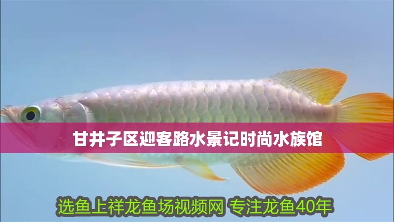 甘井子區迎客路水景記時尚水族館