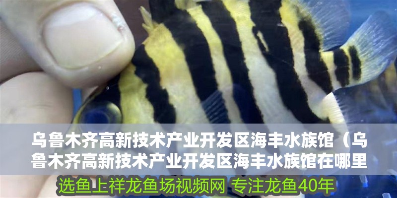 烏魯木齊高新技術(shù)產(chǎn)業(yè)開發(fā)區(qū)海豐水族館（烏魯木齊高新技術(shù)產(chǎn)業(yè)開發(fā)區(qū)海豐水族館在哪里）