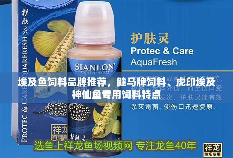 埃及魚飼料品牌推薦，健馬牌飼料、虎印埃及神仙魚專用飼料特點