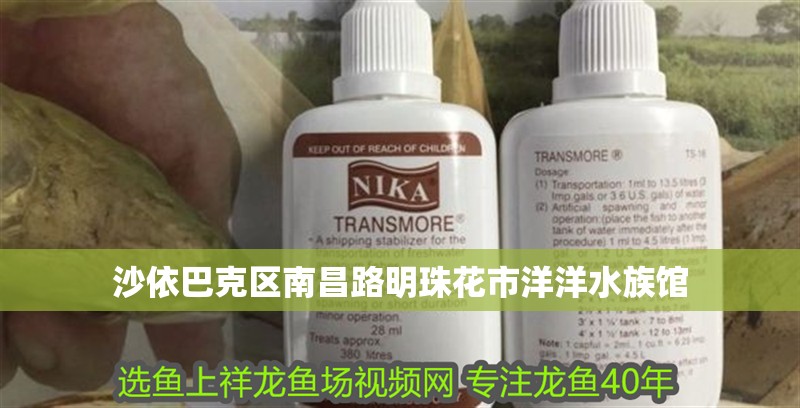 沙依巴克區南昌路明珠花市洋洋水族館