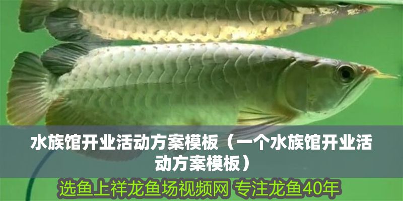水族館開(kāi)業(yè)活動(dòng)方案模板（一個(gè)水族館開(kāi)業(yè)活動(dòng)方案模板）