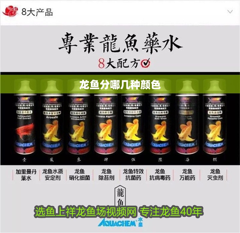 龍魚分哪幾種顏色