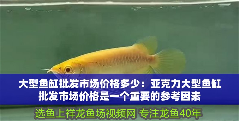 大型魚缸批發(fā)市場價格多少：亞克力大型魚缸批發(fā)市場價格是一個重要的參考因素