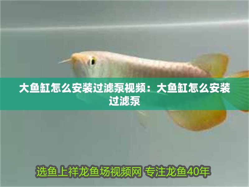 大魚缸怎么安裝過濾泵視頻：大魚缸怎么安裝過濾泵 大魚缸怎么安裝過濾泵視頻：大魚缸怎么安裝過濾泵 魚缸百科