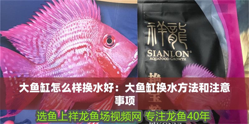 大魚缸怎么樣換水好：大魚缸換水方法和注意事項