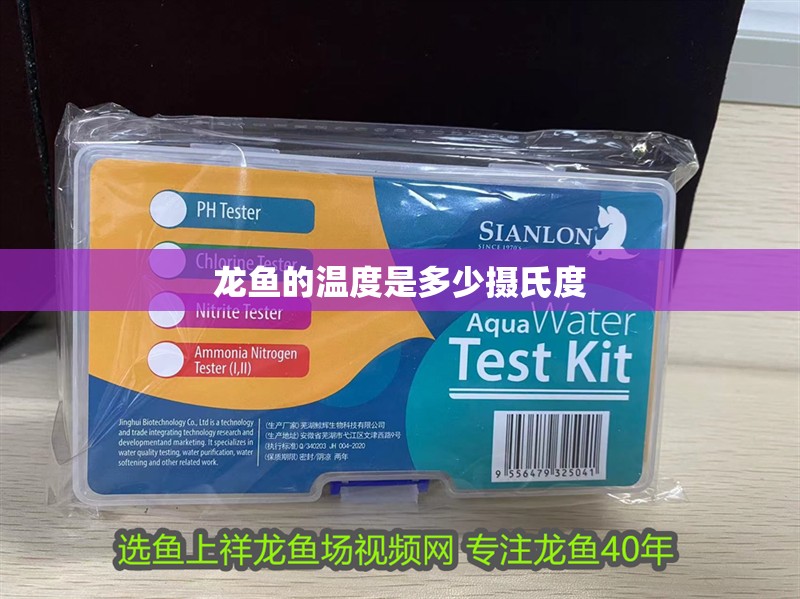 龍魚的溫度是多少攝氏度