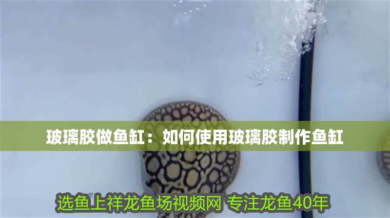 玻璃膠做魚缸：如何使用玻璃膠制作魚缸 玻璃膠做魚缸：如何使用玻璃膠制作魚缸 魚缸百科
