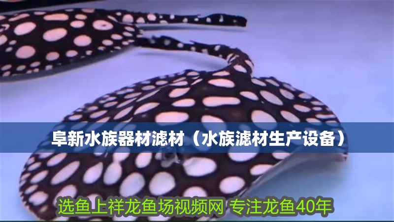 阜新水族器材濾材（水族濾材生產(chǎn)設(shè)備） 阜新水族器材濾材（水族濾材生產(chǎn)設(shè)備） 紅龍魚百科