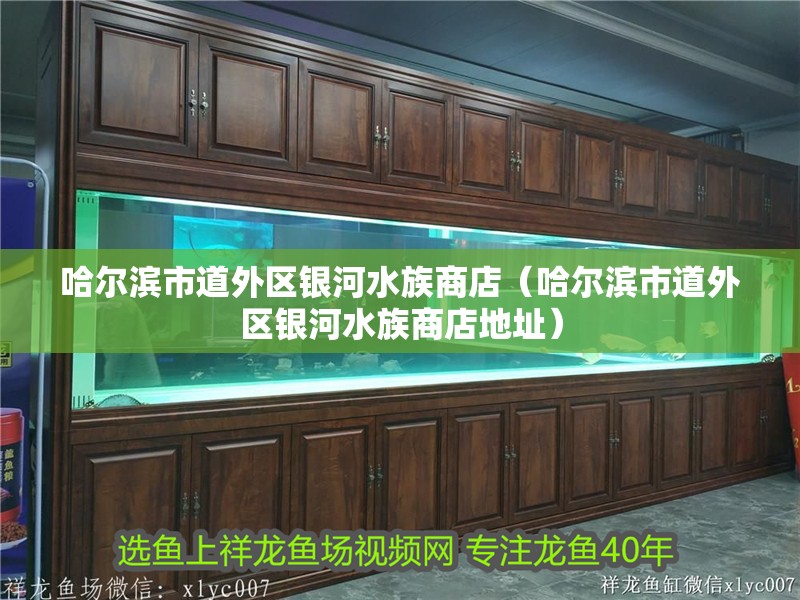哈爾濱市道外區銀河水族商店（哈爾濱市道外區銀河水族商店地址）