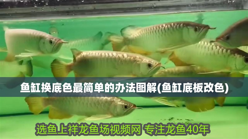 魚缸換底色最簡單的辦法圖解(魚缸底板改色)